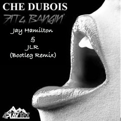 FREE DOWNLOAD: Che Dubois - Fit 4 Banging (Jay Hamilton & JLR Bootleg remix)