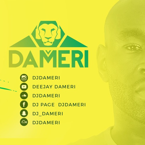 Dameri - Release (Promoversion) (FULL DOWNLOAD IN DESCRIPTION)