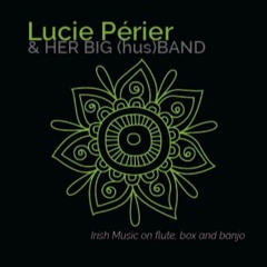 Paddy O'Brien's / The Stack of Barley / The Peacock's Feathers feat. Orwin Hébert