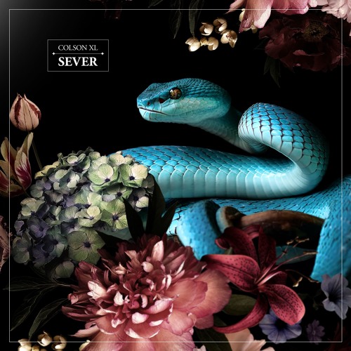 Sever