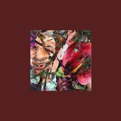 Bird Dance / Imitation of the Dinosawroid