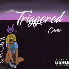 Aries - Triggered Cover