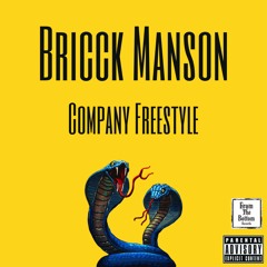 Company Freestyle Bricck Manson