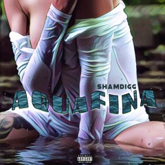 AQUAFINA
