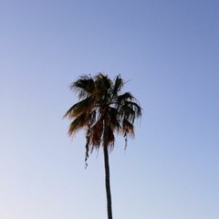 Never Again (Prodbyoskrr)