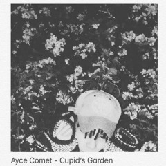 Ayce Comet - Cupid's Garden (instrumental)