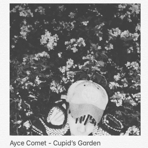 Ayce Comet - Cupid's Garden (instrumental)