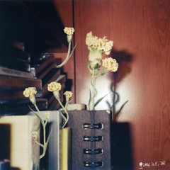 조곤 JO GON -  Old Notes(오래된 노트)