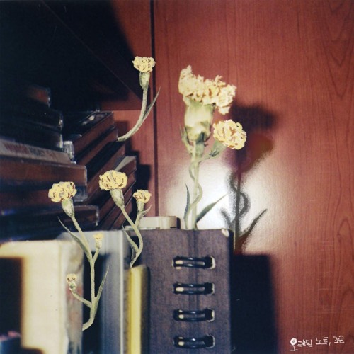 조곤 JO GON -  Old Notes(오래된 노트)