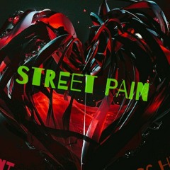 SG x Street pain