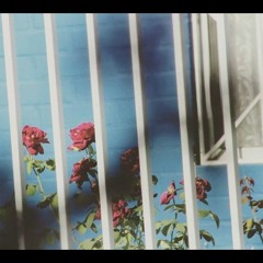 Isidora • Denise Rosenthal || (Cover) Lynn Ü