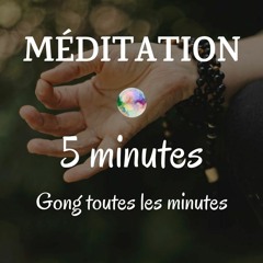 Méditation de 5 minutes avec gong toutes les minutes | Ni parole ni musique