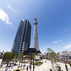 The start of the innocence