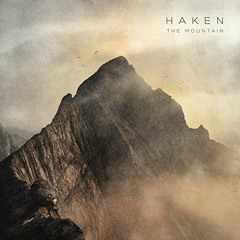 Haken -  Cockroach King - Guitar Cover