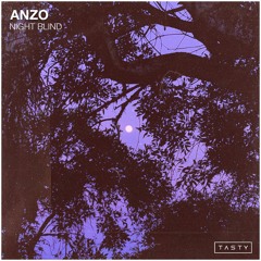 Anzo - Night Blind