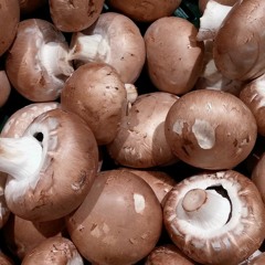 Mushroom (prod. by Dj Harrison)