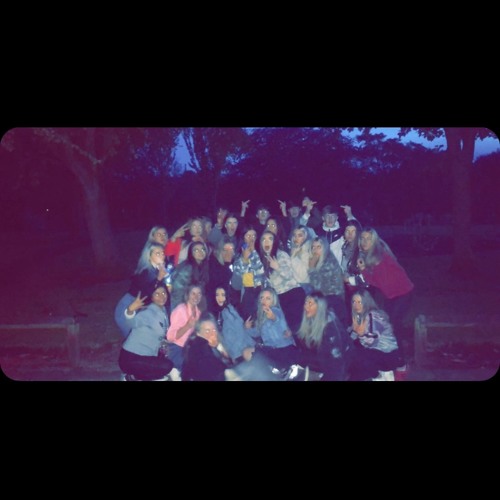 Guess who's back🐅