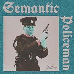 Semantic Policeman