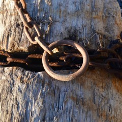 01- Paralyzed feat. Ya Boi Kavi