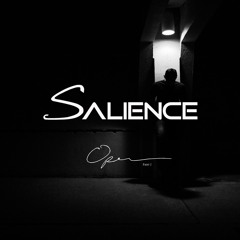 Salience - We All Try (feat. Frank Ocean) [Remix]