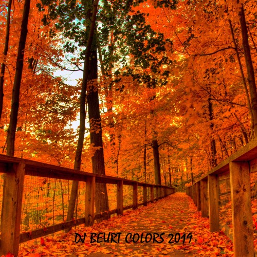 DJBEURT COLORS 2019