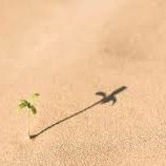 Hope In Odd Places