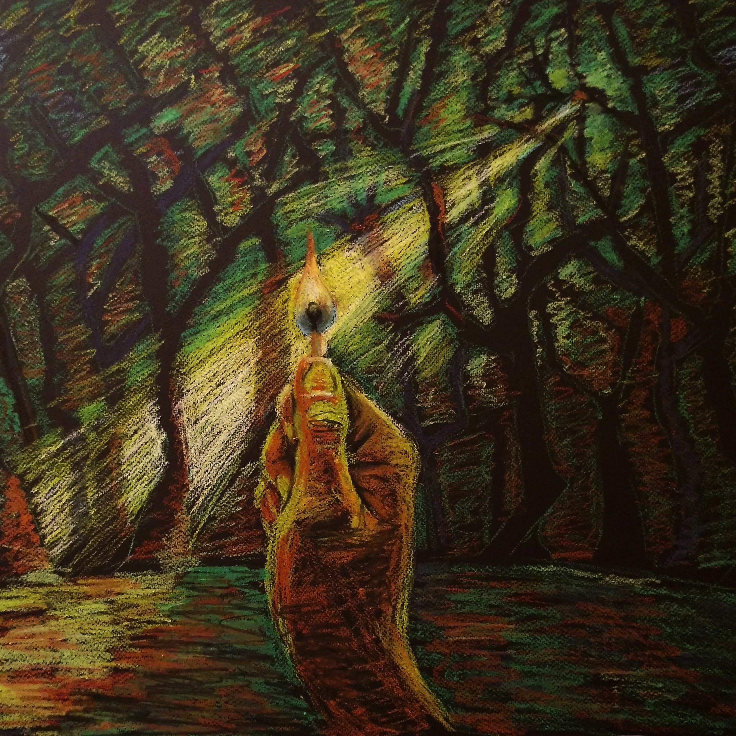 Erdő mélyén episode artwork