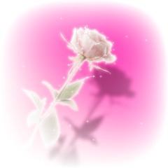 soft