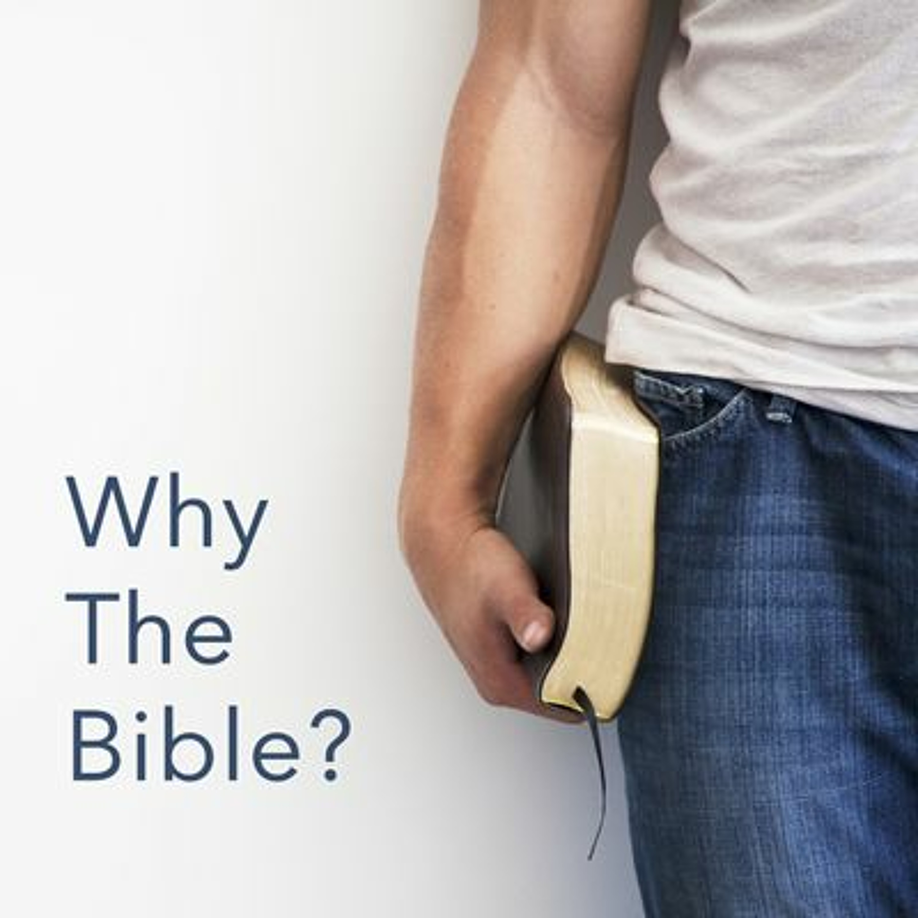 Why the Bible? Part 2 (Psalm 1 - 8/25/2019 - Chris Schuett) episode artwork