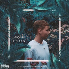 S.T.D.N. - Ambience