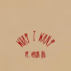 What I Want (ft. Kanoa) [prod. Steelo]