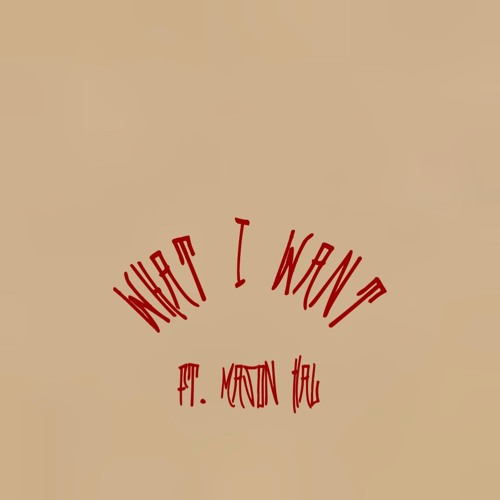 What I Want (ft. Kanoa) [prod. Steelo]