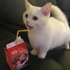 ;D