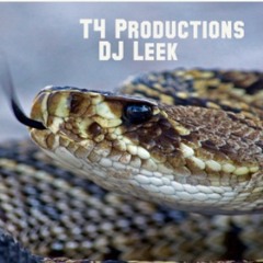 DJ LEEK- Diamondback Rattler(KING OF CONTESTS)