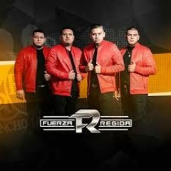 Fuerza Regida mix