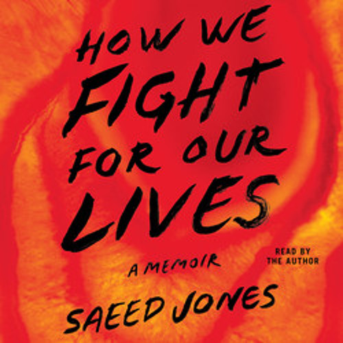 how we fight for our lives book how we fight for our lives book