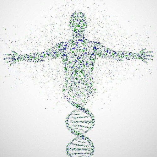 Patch The Pious - Evolution 001