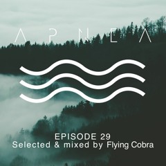 Episode 29 - Selected & Mixed By Flying Cobra