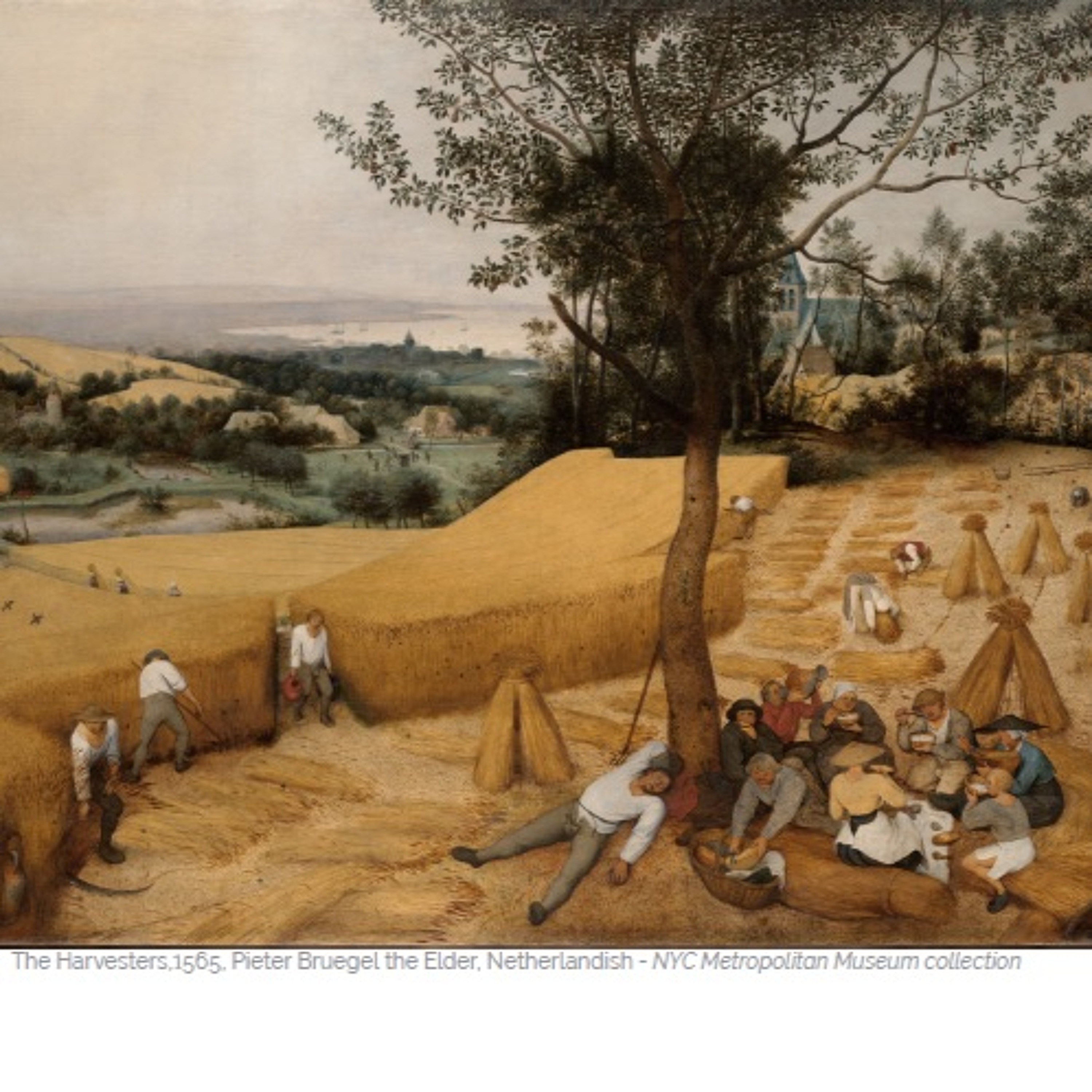 [Peter Carolane] Understanding Israel Now (Romans 11.1-32)15.09.19 episode artwork