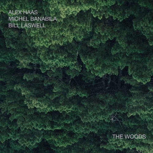 Alex Haas, Michel Banabila, Bill Laswell: The Woods