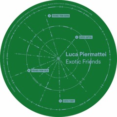 Luca Piermattei - Exotic Friends [OCD005]