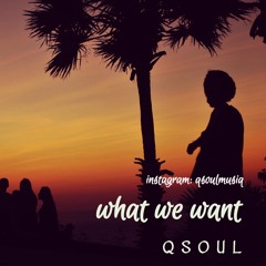 QSOUL - WHAT WE WANT