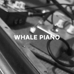 Whale Piano Demo