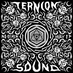 Ternion Sound - No Other Way