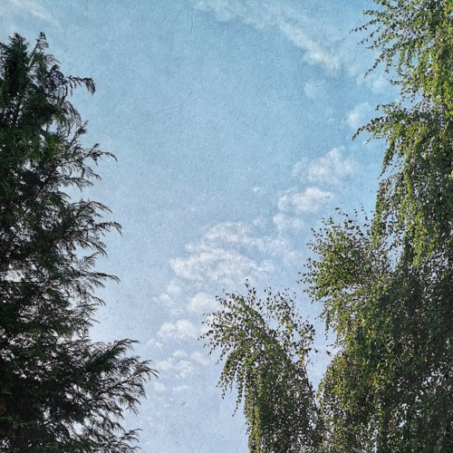 August 2020 N°2