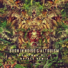 Burn In Noise & Altruism - Shamanic ( NoFace Remix )