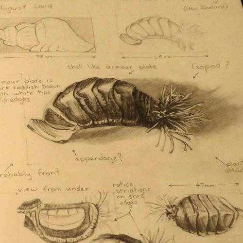 Stream Rubber Rift by Andrew Kunzel | Listen online for free on SoundCloud