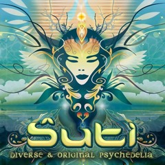 Syntropic Live @ Suti Festival - Portugal 2019