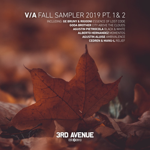 PREMIERE: Ge Bruny & RIGOONI - Essence of Lost Code [3rd Avenue]