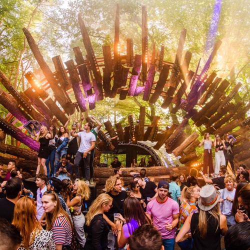 Abstract Division - Into The Woods 2019